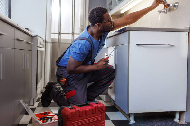 Best Garbage Disposal Repair and Installation  in Spring Hill, TN